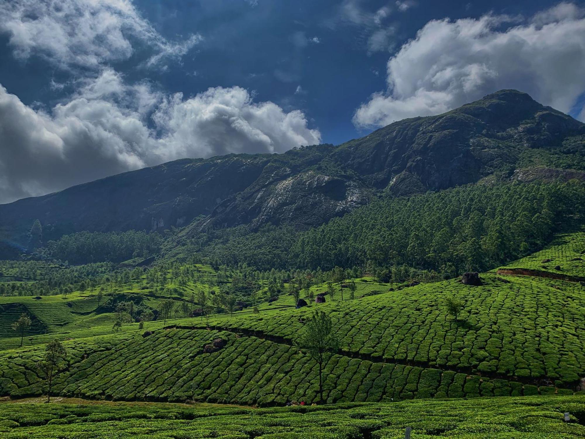 Lockhart Bungalow Munnar - A Cgh Earth Saha Experience Экстерьер фото