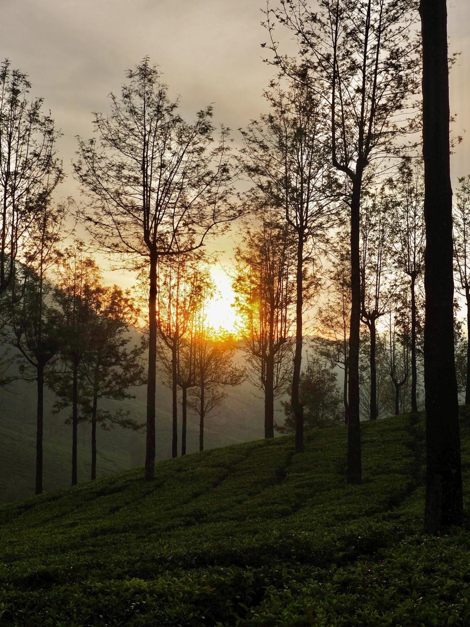 Lockhart Bungalow Munnar - A Cgh Earth Saha Experience Экстерьер фото