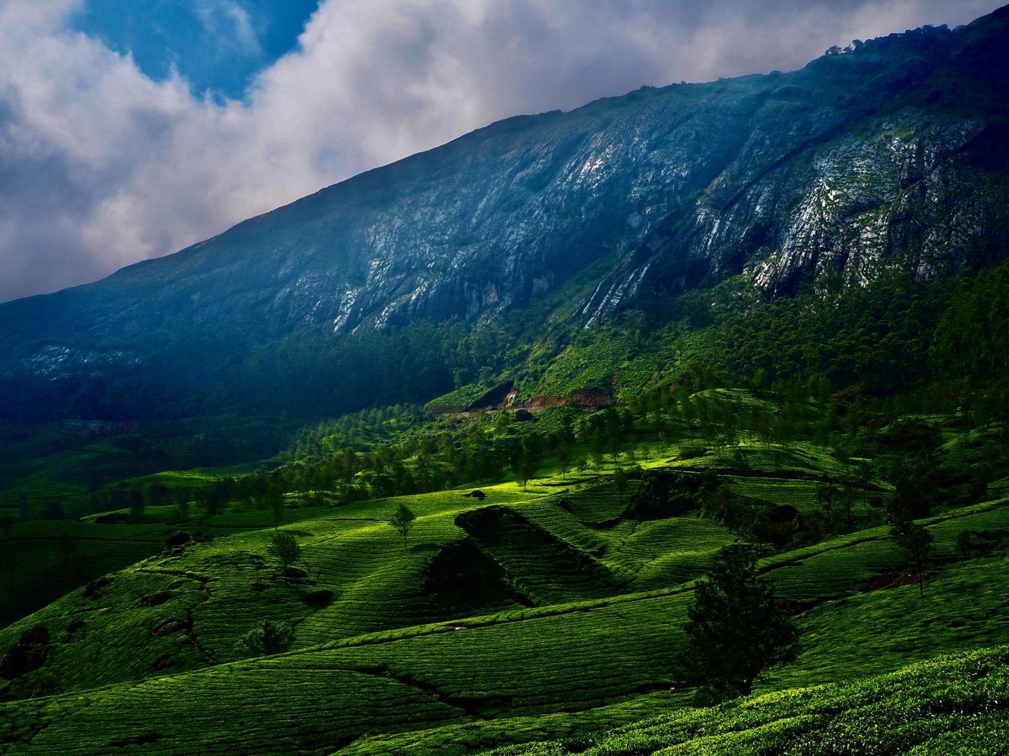 Lockhart Bungalow Munnar - A Cgh Earth Saha Experience Экстерьер фото
